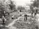 James Imlay Forsyth on right of Beecroft School Garden